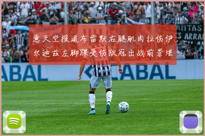 意天空报道布雷默右腿肌肉拉伤伊尔迪兹左脚踝受伤欧冠出战前景堪忧